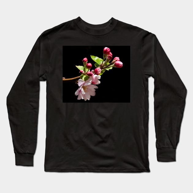 Apple Blossom Time Long Sleeve T-Shirt by Memories4you